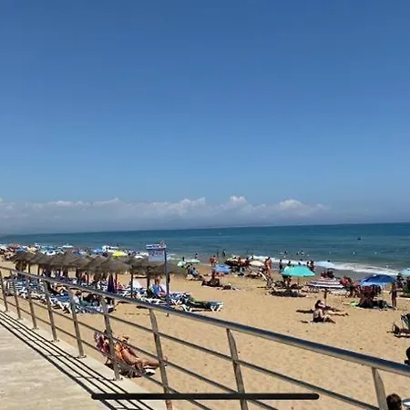 W Torrevieja
